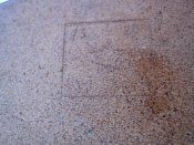 IMG_7366.jpg