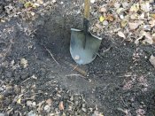 DSCN9079.JPG