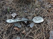 DSCN9106.JPG