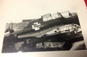 Tiger3.jpg