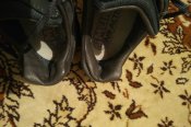 IMG_20170926_2050575.jpg
