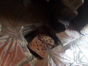 IMG_20170927_100355.jpg