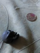 IMG_20170928_110539.jpg