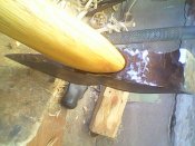 IMG0236A.jpg