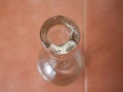DSCN1829.jpg