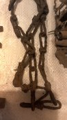 P_20170929_185336.jpg