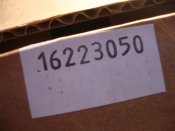 DSC01453.JPG