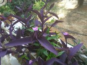 IMG_20170930_104037.jpg
