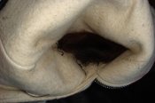 DSC05941.jpg
