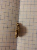 20170930_191352.jpg