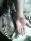 IMG-954ae883b0e7c68f19e668515e0f0f74-V.jpg