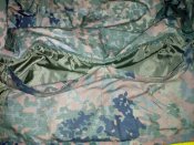 IMG_20171001_144824.jpg