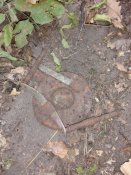IMG_20171001_155534.jpg