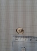 IMG_20171001_202444.jpg