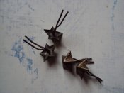 DSC00967.JPG