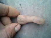 IMG_20171003_083002.jpg