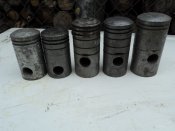 DSC07466.JPG