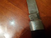 20171003_074821.jpg
