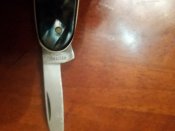 20171003_074755.jpg