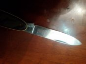20171003_074718.jpg