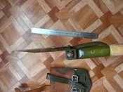 WP_20171003_15_19_33_Pro.jpg
