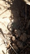 20171003_110056.jpg