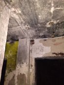 IMG_20170926_112531.jpg