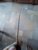 IMG_20171004_074606.jpg