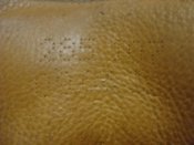 DSC06045.JPG