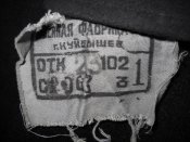 Изображение 147.jpg