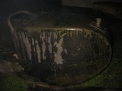 IMG_4141.JPG