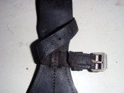 SDC10325.jpg
