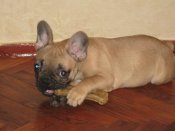 IMG_0404.jpg