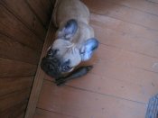 IMG_0441.jpg