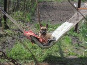 IMG_0457.jpg