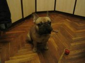 IMG_0666.jpg