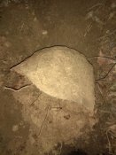 IMG_20171001_183114.jpg