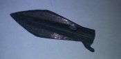 IMG_20171006_114150.jpg