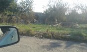 20171003_144935.jpg