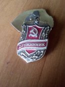 Значнк дружинника.