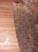 20171008_201128.jpg
