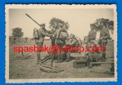 2 cm Bulgarian.jpg