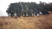 P_20171008_092047.jpg