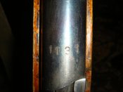 DSC05412.jpg