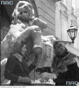 Кубіти коло Ратуші 1941 1942.jpg