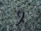 DSC09142.JPG