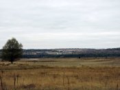 DSCN9220.JPG