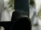 DSC03467.jpg
