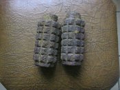 IMG_4075.jpg