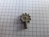 20171011_145154.jpg